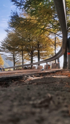 77