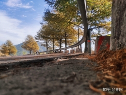 测试1